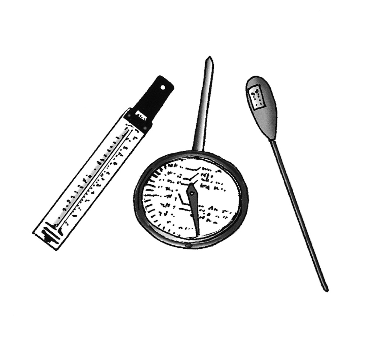 Figure 2-9:  Thermometers come in three flavors: digital, dial, and notched.